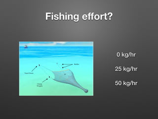 Fishing eﬀort?
0 kg/hr
!
25 kg/hr
!
50 kg/hr
 