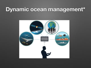 Dynamic ocean management*
 