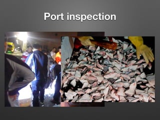 Port inspection
 