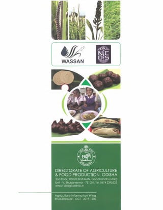 TAKING A SMART FOOD APPROACH