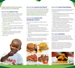 Smart Food Kenya- Good For You - The Planet - The Farmer