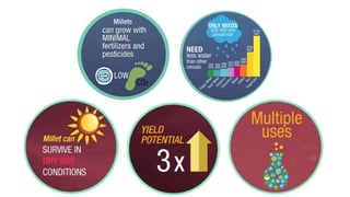 Smartfood- Good for you - the planet - the farmer by Joanna Kane-Potaka, Assistant Director General, External Relations, ICRISAT