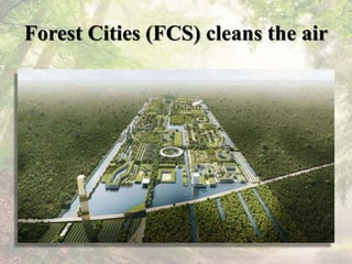 Forest Cities (FCS) cleans the air
 