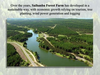 Over the years, Saihanba Forest Farm has developed in a
sustainable way, with economic growth relying on tourism, tree
pla...