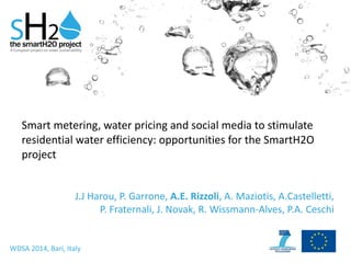 Smart	
  metering,	
  water	
  pricing	
  and	
  social	
  media	
  to	
  stimulate	
  
residential	
  water	
  efficiency:	
  opportunities	
  for	
  the	
  SmartH2O	
  
project
J.J	
  Harou,	
  P.	
  Garrone,	
  A.E.	
  Rizzoli,	
  A.	
  Maziotis,	
  A.Castelletti,	
  
P.	
  Fraternali,	
  J.	
  Novak,	
  R.	
  Wissmann-­‐Alves,	
  P.A.	
  Ceschi
WDSA	
  2014,	
  Bari,	
  Italy
 