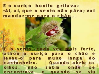 E o ouriço  bonito  gritava:  -Ai, ai, que o vento não pára; vai mandar-me para o chão… E o vento, cada vez mais forte, atirou o ouriço para o chão e levou-o para muito longe do castanheiro.  Quando abriu os olhos, não sabia onde se encontrava, e quando se viu sozinho, começou a chorar. 
