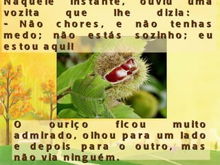 Naquele instante, ouviu uma vozita que lhe dizia:  - Não chores, e não tenhas medo; não estás sozinho; eu estou aqui! O ouriço ficou muito admirado, olhou para um lado e depois para o outro, mas não via ninguém. 