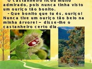 O castanheiro ficou muito admirado, pois nunca tinha visto um ouriço tão bonito.   - Que bonito que tu és, ouriço! Nunca tive um ouriço tão belo na minha árvore! – disse-lhe o castanheiro certo dia. 