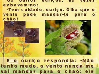 Os outros ouriços, às vezes avisavam-no:    -Tem cuidado, ouriço. Olha que o vento pode mandar-te para o chão! E o ouriço respondia: -Não tenho medo, o vento nunca me vai mandar para o chão; ele também me acha muito bonito! 