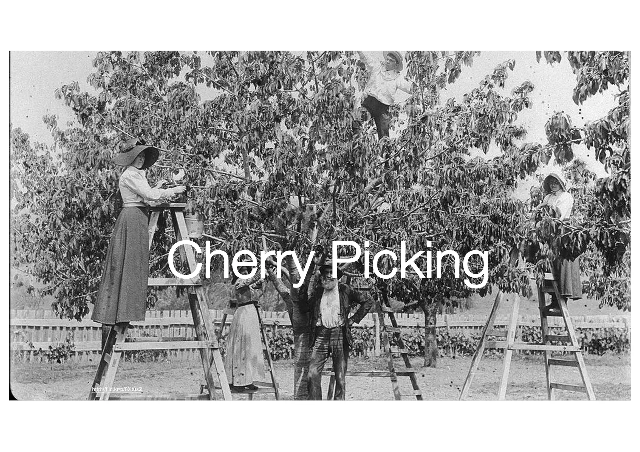 Cherry Picking
http://flic.kr/p/8Xtus2
 