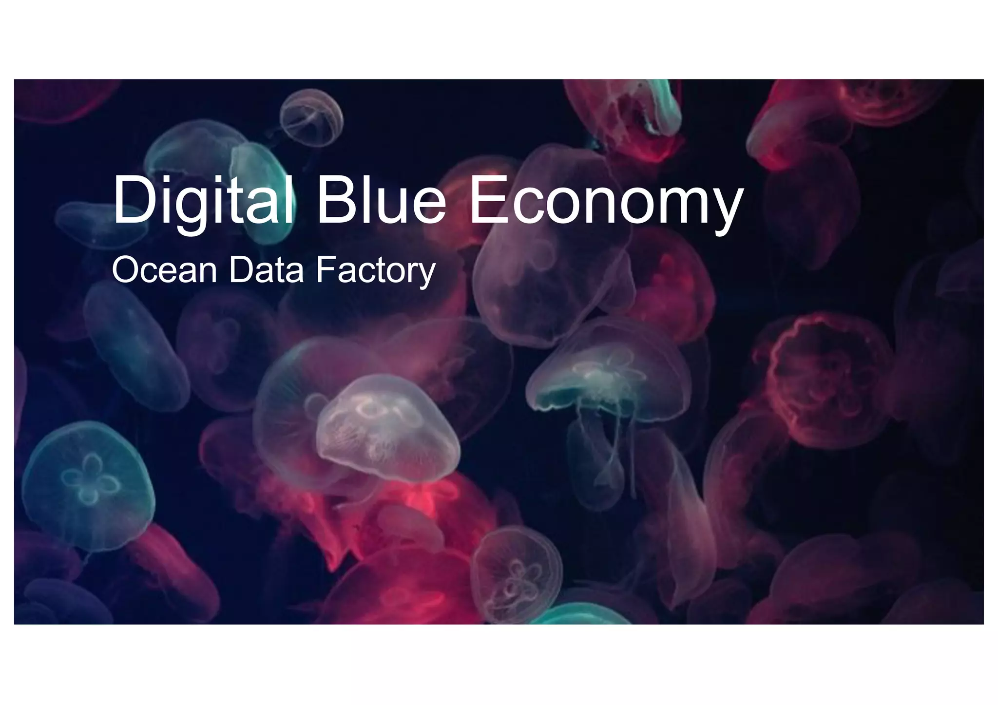 Digital Blue Economy
Ocean Data Factory
 