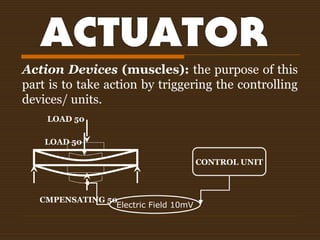 Action Devices (muscles): the purpose of this
part is to take action by triggering the controlling
devices/ units.
CONTROL UNIT
LOAD 50
Electric Field 10mV
LOAD 50
CMPENSATING 50
 