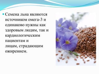  Семена льна являются
 источником омега-3 и
 одинаково нужны как
 здоровым людям, так и
 кардиологическим
 пациентам и
 лицам, страдающим
 ожирением.
 