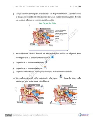C r e a d o r d e A c t i v i d a d e s S M A R T N o t e b o o k P á g i n a | 55
Se autoriza el uso de esta obra bajo licencia Creative Commons
5. Dibuje los otros rectángulos alrededor de las etiquetas faltantes. A continuación
la imagen del sentido del oído, después de haber creado los rectángulos, debería
ser parecida a la que se presenta a continuación:
6. Ahora debemos rellenar de color los rectángulos para ocultar las etiquetas. Para
ello haga clic en la herramienta seleccionar
7. Haga clic en la herramienta relleno
8. Haga clic en la herramienta color
9. Haga clic sobre el color blanco para el relleno. Puede ser otro diferente.
10. Ahora el puntero del ratón a cambiado a la forma haga clic sobre cada
rectángulo para pintarlos de color blanco:
 