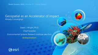 Smart Oceans 2020 | October 5th | Virtual Plenary
Geospatial as an Accelerator of Impact
Already Converging!
Dawn J. Wright, Ph.D.
Chief Scientist
Environmental Systems Research Institute (aka Esri)
@deepseadawn
 
