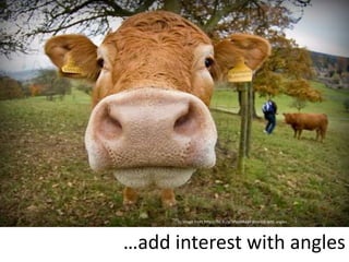 cc image from http://flic.kr/p/3Paa94add interest with angles…

…add interest with angles

 