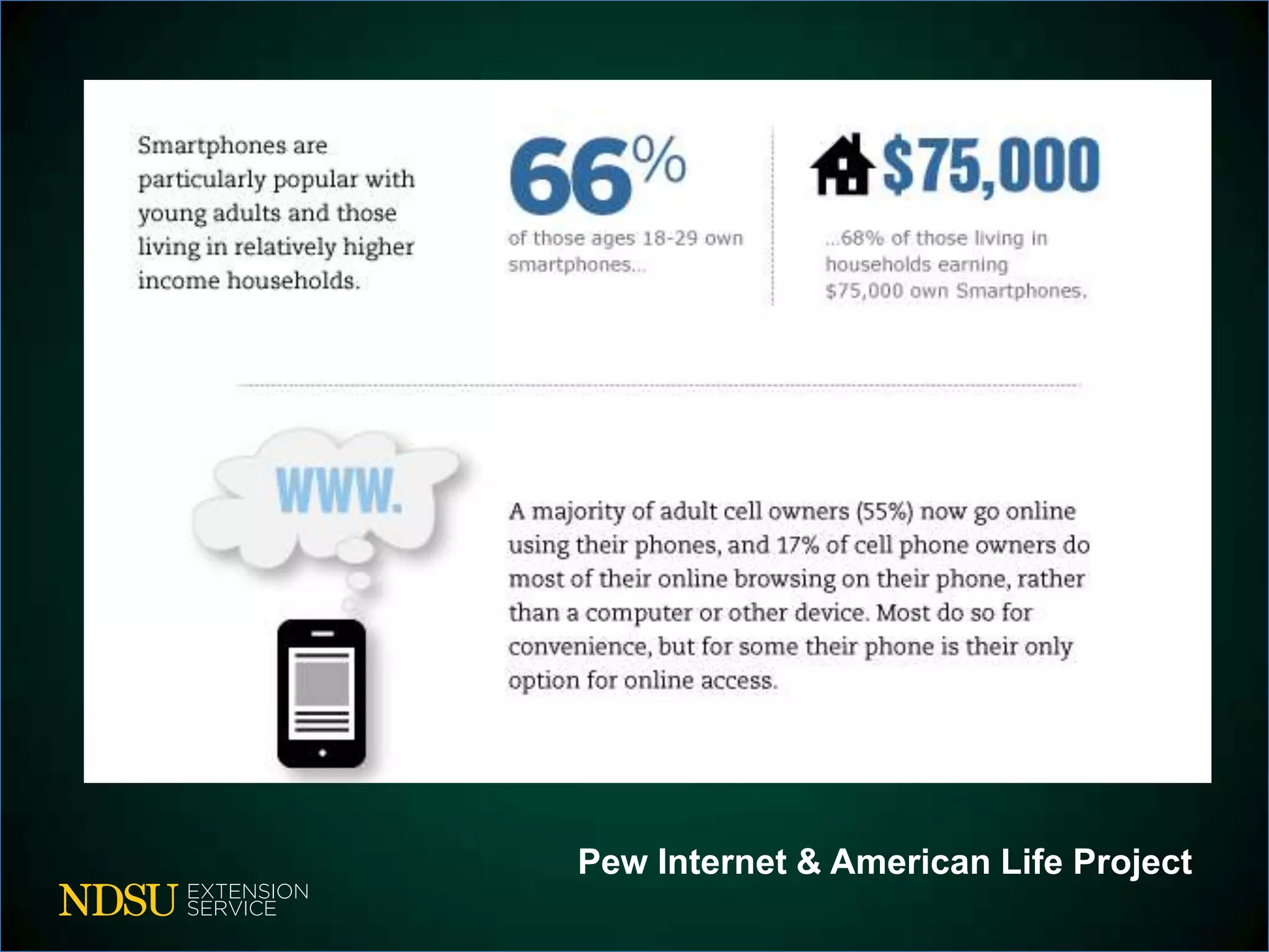 Pew Internet & American Life Project
 