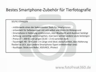 Bestes Smartphone-Zubehör für Tierfotografie
www.fotofreak360.de
SELFIE-STANGEN
- mittlerweile eines der bekanntesten Tools für Smartphones
- entwickelt für Selbstauslöser mit sich selbst und Motiv im Hintergrund
- Smartphone in Halterung einklemmen, über Bluetooth wird Auslöser betätigt
- Achtung: vorsichtig damit umgehen, man kann schnell andere Leute belästigen
- Preise (7 – 200 €) und Längen (0,50 – 2 m) variieren stark
- Faustregel: 40 - 50 € und 1 m Länge sind ideal; darauf achten, dass Halterung
flexibel ist (d.h. auch andere Smartphone-Typen einklemmbar sind)
- Kauftipps: Sticks von Rollei, XSOURCE, iProtect
 