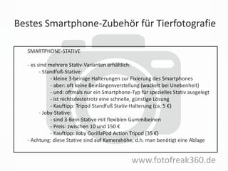 Bestes Smartphone-Zubehör für Tierfotografie
www.fotofreak360.de
SMARTPHONE-STATIVE
- es sind mehrere Stativ-Varianten erhältlich:
- Standfuß-Stative:
- kleine 3-beinige Halterungen zur Fixierung des Smartphones
- aber: oft keine Beinlängenverstellung (wackelt bei Unebenheit)
- und: oftmals nur ein Smartphone-Typ für spezielles Stativ ausgelegt
- ist nichtsdestotrotz eine schnelle, günstige Lösung
- Kauftipp: Tripod Standfuß Stativ-Halterung (ca. 5 €)
- Joby-Stative:
- sind 3-Bein-Stative mit flexiblen Gummibeinen
- Preis: zwischen 10 und 150 €
- Kauftipp: Joby GorillaPod Action Tripod (35 €)
- Achtung: diese Stative sind auf Kamerahöhe, d.h. man benötigt eine Ablage
 