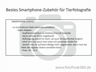 Bestes Smartphone-Zubehör für Tierfotografie
www.fotofreak360.de
SMARTPHONE-STATIVE
- es sind mehrere Stativ-Varianten erhältlich:
- Stativ-Adapter:
- Kopfhöreranschluss als Stativbuchse mit Gewinde
- daran wird ein Stativ angebracht
- Befestigung sowohl im Hoch- als auch im Querformat möglich
- lohnt sich nur, wenn man schon ein passendes Stativ hat
- Vorteil: man ist auf keine Ablage mehr angewiesen, wenn man die
Höhe des eigenen Stativs verstellen kann
- Preis: 20 – 25 €
 