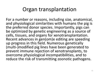 Organ transplantation
For a number or reasons, including size, anatomical,
and physiological similarities with humans the pig is
the preferred donor species. Importantly, pigs can
be optimized by genetic engineering as a source of
cells, tissues, and organs for xenotransplantation.
Recent advances in gen(om)e editing are speeding
up progress in this field. Numerous genetically
(multi-)modified pig lines have been generated to
prevent immune rejection of xenotransplants, to
overcome physiological incompatibilities, and to
reduce the risk of transmitting zoonotic pathogens.
12
 