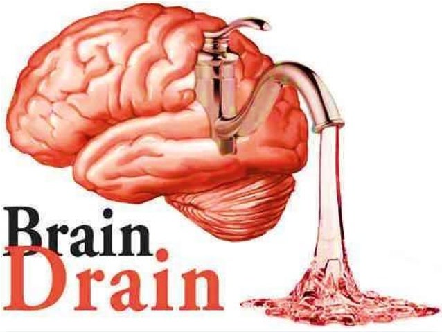 What Is In The Brain Drain On Brainsurge brain drain