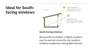 Ideal for South-
facing windows
South-facing windows
Because the sun follows a slightly southern
east-to-west arc across the sky, southern
windows usually have strong light intensity.
 