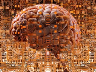 Smart Retail Concepts using Artificial Intelligence