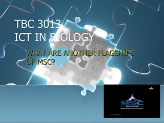 TBC 3013 ICT IN BIOLOGY WHAT ARE ANOTHER FLAGSHIPS OF MSC? 