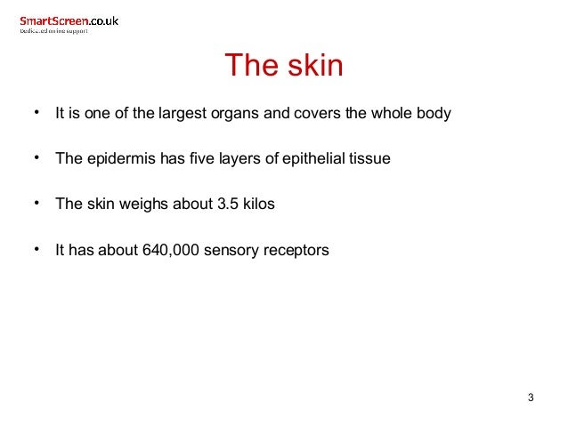 Skin