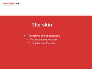 The skin
 The dermis and appendages
 The subcutaneous layer
 Functions of the skin
 