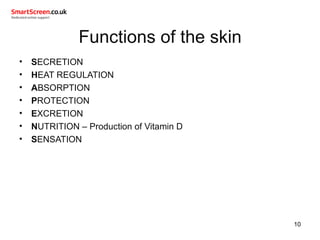 Functions of the skin
• SECRETION
• HEAT REGULATION
• ABSORPTION
• PROTECTION
• EXCRETION
• NUTRITION – Production of Vitamin D
• SENSATION
10
 