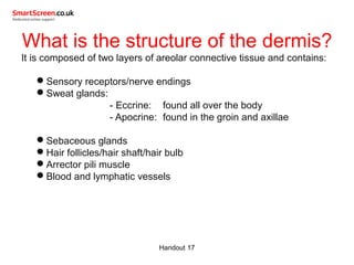 What is the structure of the dermis?
It is composed of two layers of areolar connective tissue and contains:
Sensory receptors/nerve endings
Sweat glands:
- Eccrine: found all over the body
- Apocrine: found in the groin and axillae
Sebaceous glands
Hair follicles/hair shaft/hair bulb
Arrector pili muscle
Blood and lymphatic vessels
Handout 17
 