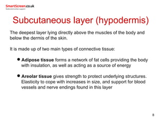 Subcutaneous layer (hypodermis)
The deepest layer lying directly above the muscles of the body and
below the dermis of the skin.
It is made up of two main types of connective tissue:
Adipose tissue forms a network of fat cells providing the body
with insulation, as well as acting as a source of energy
Areolar tissue gives strength to protect underlying structures.
Elasticity to cope with increases in size, and support for blood
vessels and nerve endings found in this layer
8
 