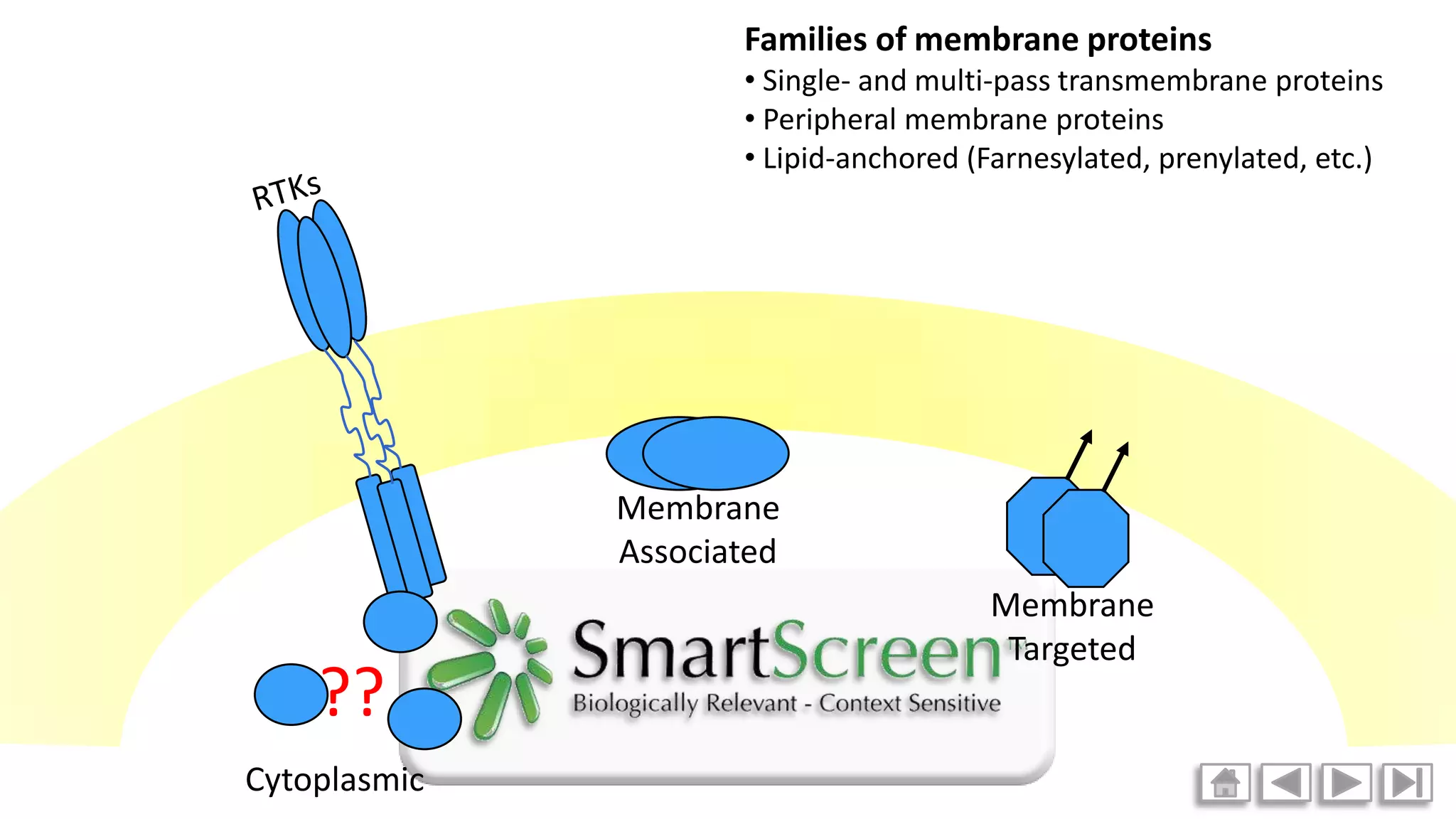Smart screen animations blue sky biotech ppt