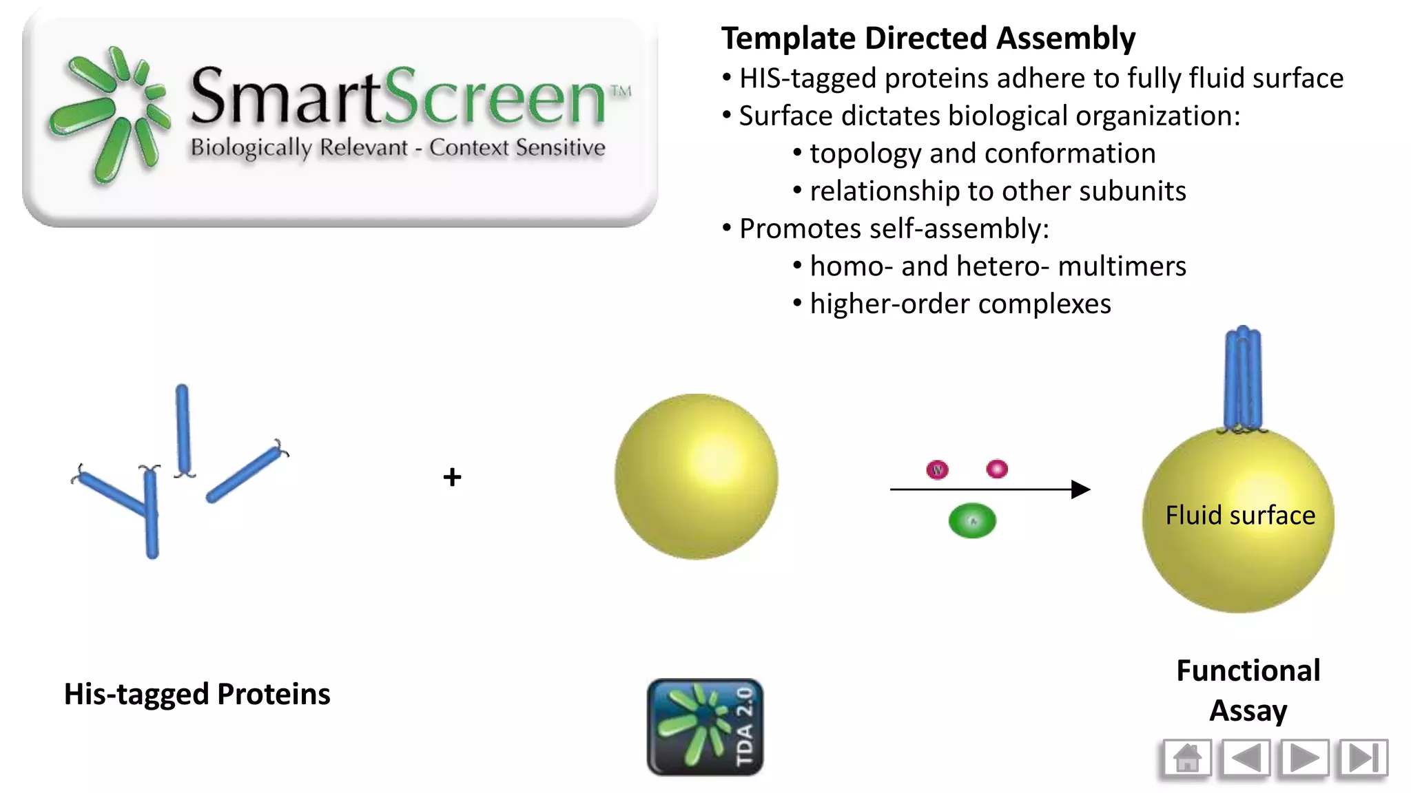 Smart Screen Animations Blue Sky Biotech PPT Smart screen animations blue sky biotech ppt