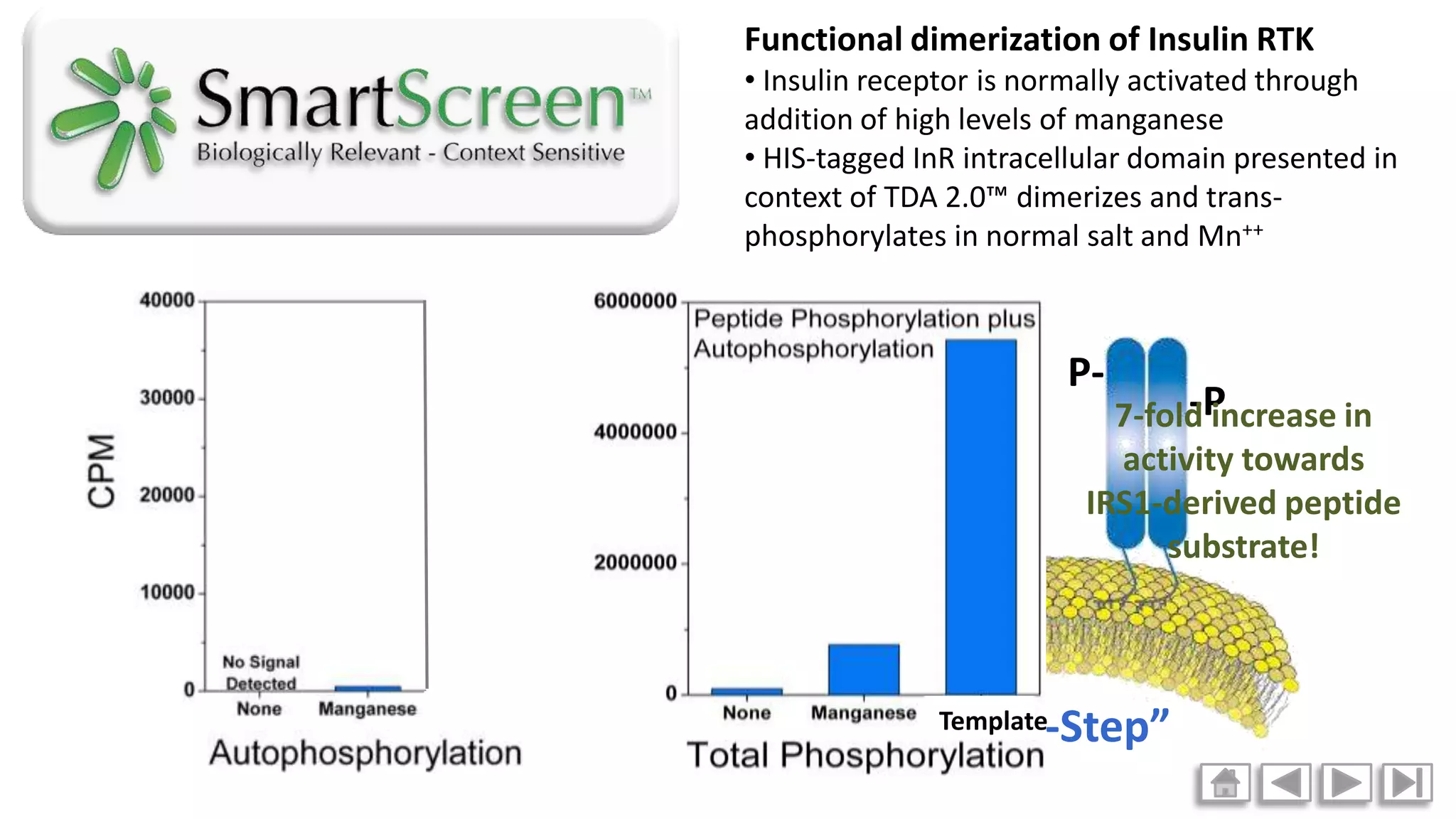 Smart Screen Animations Blue Sky Biotech PPT Smart screen animations blue sky biotech ppt