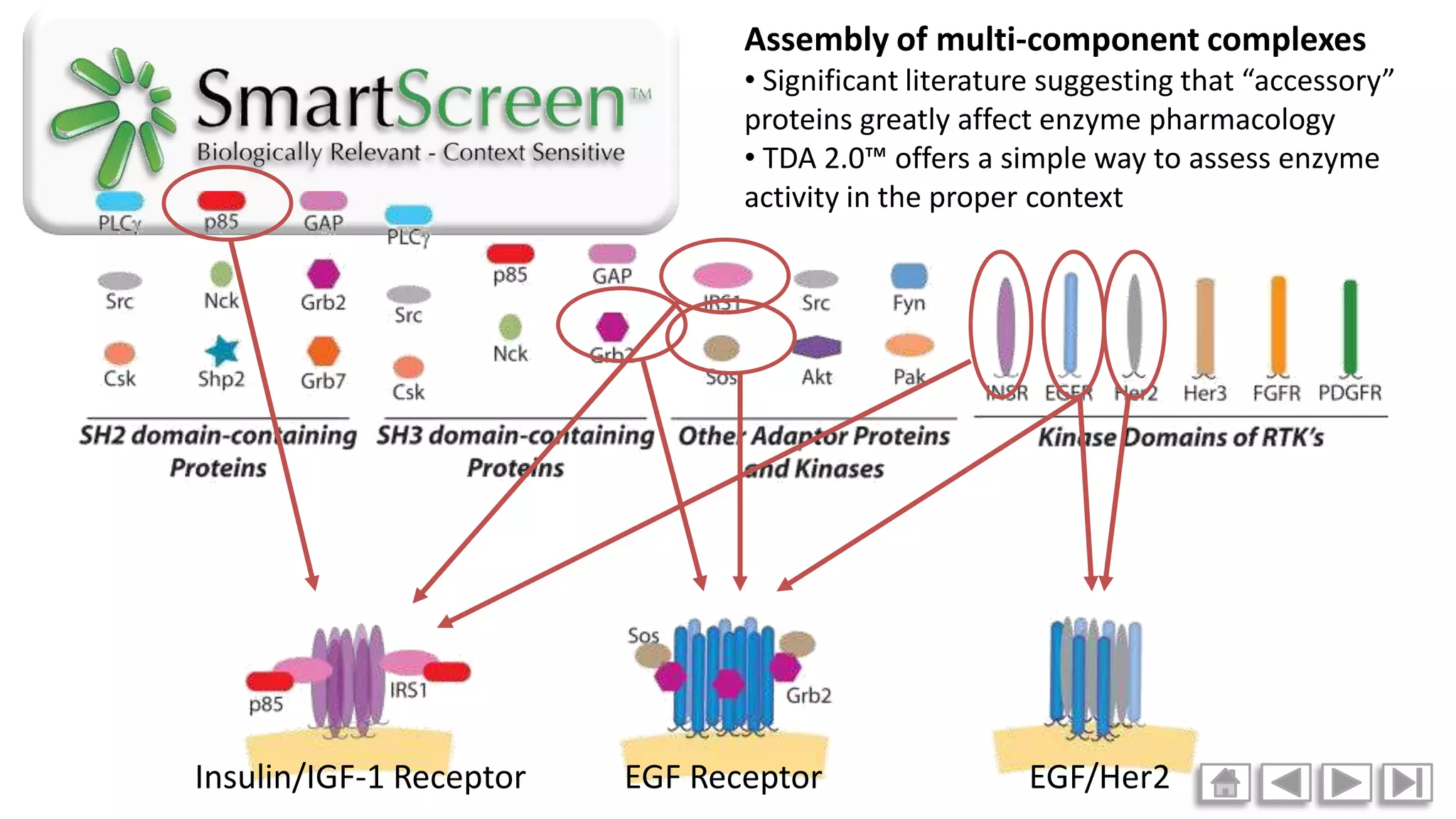 Smart screen animations blue sky biotech ppt