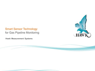 Hawk Measurement Systems
Smart Sensor Technology
for Gas Pipeline Monitoring
 