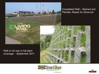 Completed Wall – Stained and
                                Planted, Ready for Grow-out




Well on its way to full plant
coverage - September 2011
 