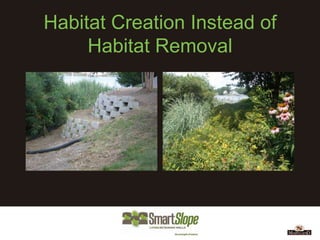 Habitat Creation Instead of
     Habitat Removal
 