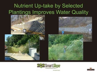 Nutrient Up-take by Selected
Plantings Improves Water Quality
 