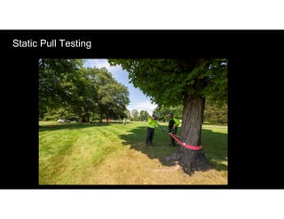Static Pull Testing
 