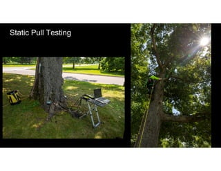 Static Pull Testing
 