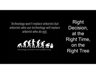 Right
Decision,
at the
Right Time,
on the
Right Tree
 