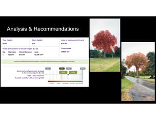 Analysis & Recommendations
 