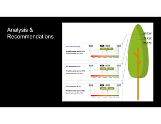 Analysis &
Recommendations
 