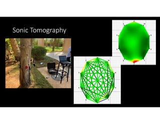 Sonic Tomography
 