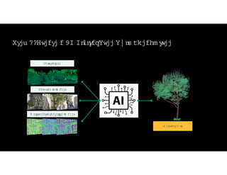 St
ep 2:Cr
eat
e a 4D Di
gi
t
alTr
ee Twi
n ofeach t
r
ee
4D DI
GI
TAL TW I
N
M ul
t
i
spect
r
alSat
el
l
i
t
e I
m ages
Panor
am i
c I
m ages
Poi
ntCl
oud
 