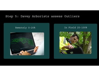 In Field 25-100%
Remotely 0-20%
Step 5: Davey Arborists assess Outliers
 